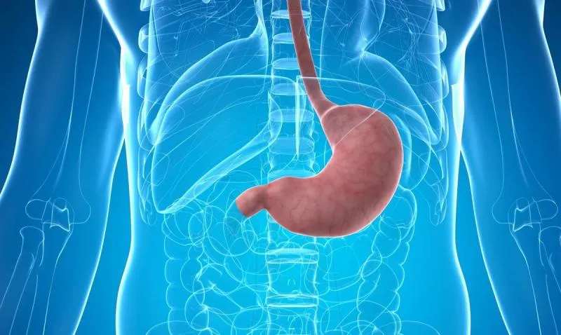 Антитела к фактору Кастла: ключевой маркер в диагностике пернициозной анемии