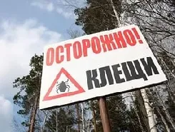 Клещевой вирусный энцефалит и меры его профилактики Клещевой вирусный энцефалит и меры его профилактики