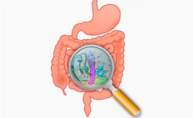 IMG_29092017_193707_0.png IMG_29092017_193707_0.png