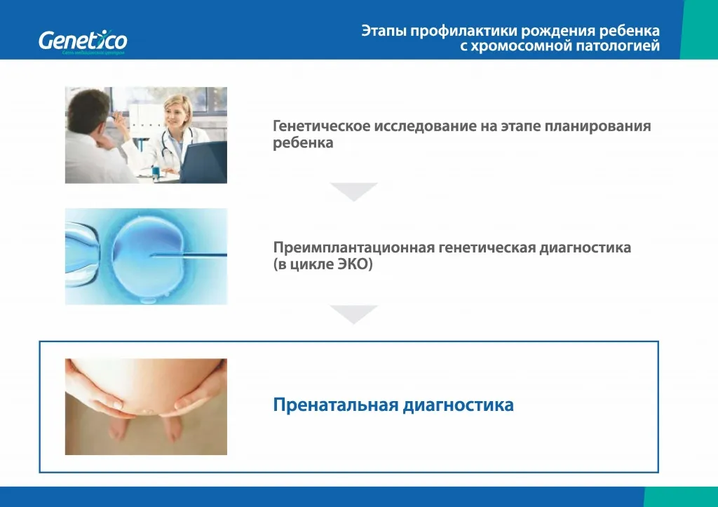 Пренетикс - 0006.jpg