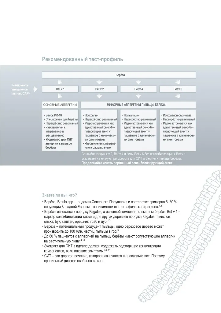 Береза_ru - 0003.jpg