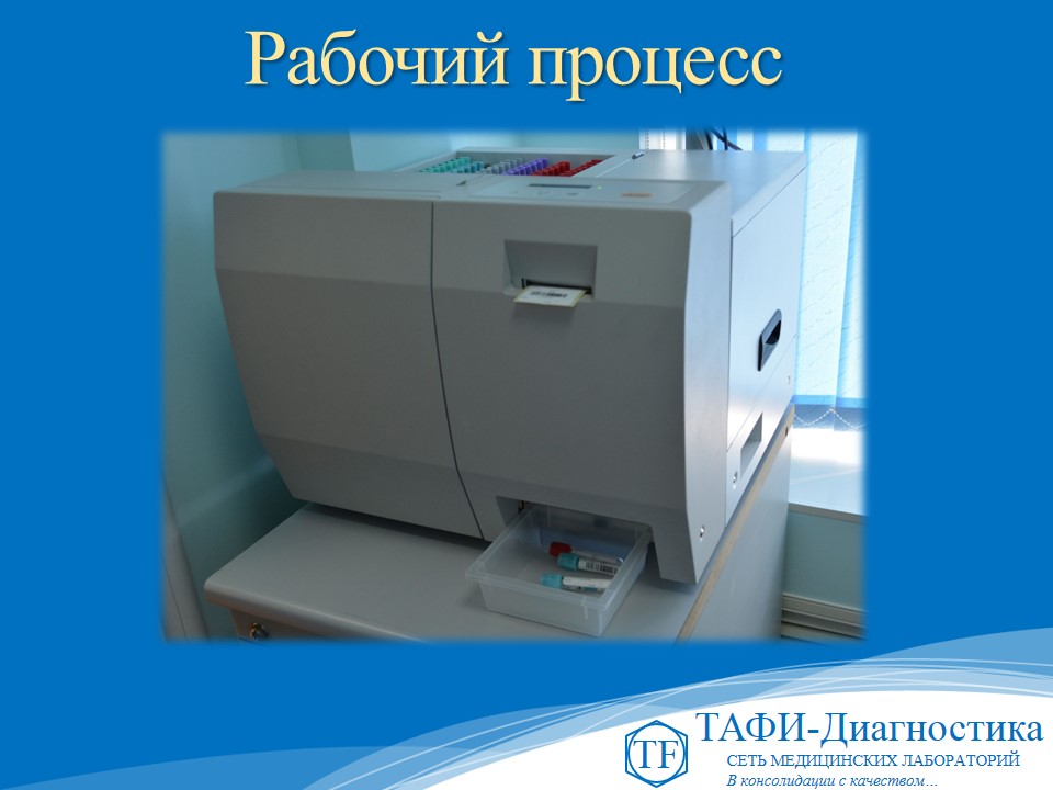 Слайд11.JPG